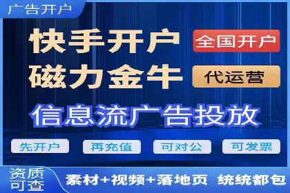百度竞价广告投放全解析：成功案例揭秘